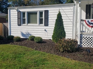 Bush Trimming by Rose Valle for Tammy C. in Alexandria, VA