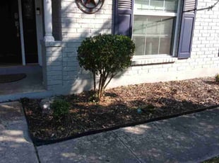 Bush Trimming by Jason Valdez for Lauren M. in Universal City, TX