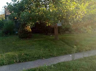 Bush Trimming by Adam Chitwood for Donna R. in Indianapolis, IN