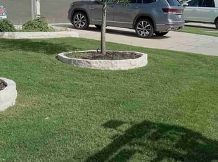 Ron V.'s Lawn Maintenance service result