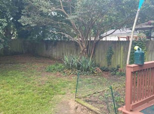 Bush Trimming by Sammuel Ellis-Johnson for Nancy P. in Richmond, VA