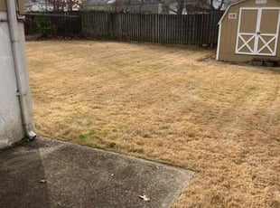 Leaf Removal by Robert Faison for Kevin S. in Greater Landover, MD