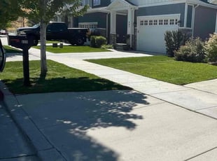 Jesus R.'s Lawn Service service result