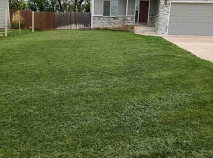 Brenda C.'s Grass Cutting service result