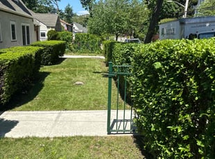 Bush Trimming by Migjen Ahmetaj for Papa Kwaku S. in Tuckahoe, NY