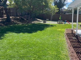 Niko M.'s Lawn Mowing service result