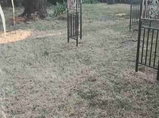 Cleanups by Jose Villanueva for Dylan G. in Modesto, CA