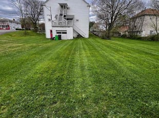 Justine G.'s Lawn Mowing service result