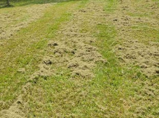 Walden R.'s Lawn Care service result