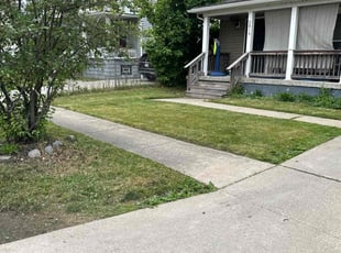Micaela H.'s Grass Cutting service result