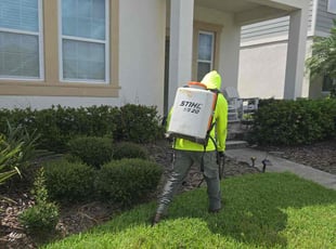 Weeding by Elvis Pintado for Aida H. in Odessa, FL