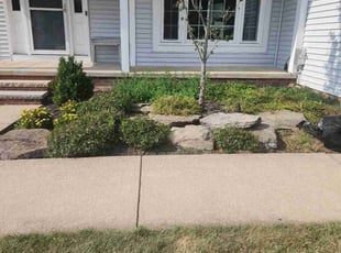 Weeding by Richard Robinson for David M. in Aurora, OH