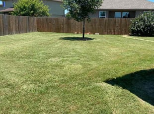 Moises V.'s Lawn Care service result