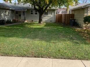 Leaf Removal by Jonathan Allen for Edward K. in West Sacramento, CA