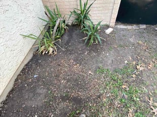 Cleanups by Lacy Dixon for Deana N. in San Antonio, TX