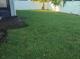 Tracie C.'s Lawn Care service result