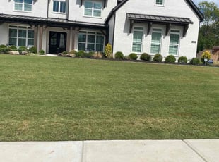 Oteria J.'s Lawn Mowing service result
