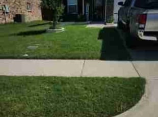 Miranda P.'s Lawn Care service result
