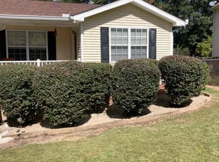 Bush Trimming by Robert Huntsinger for Kelley P. in Tallahassee, FL