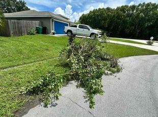 Bush Trimming by Kuisman Mazariegos for Ryan “. in Port St. Lucie, FL