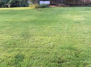 Nancy S.'s Lawn Service service result