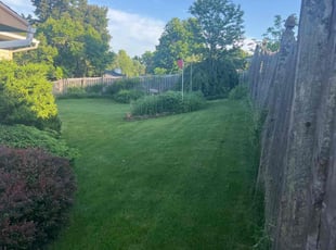 Stephanie S.'s Lawn Service service result