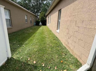 Susan H.'s Lawn Mowing service result