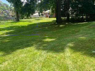 Curtis B.'s Lawn Service service result