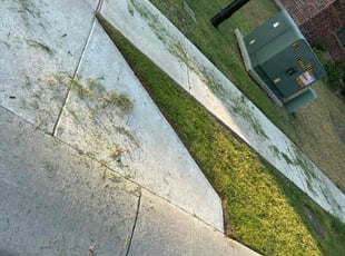 Cleanups by Patrick Stewart for Parker B. in Princeton, TX