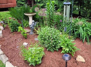 Mulching by Joe Molinaro for Karen P. in McKees Rocks, PA