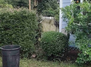 Bush Trimming by Kevin Rodgers for Amber F. in Columbia, SC