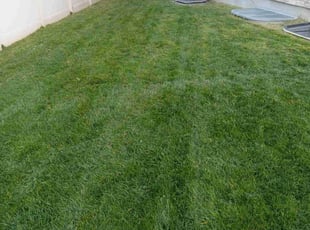Angela W.'s Lawn Mowing Service service result