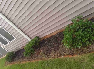 Weeding by Naji Robinson for Furman M. in Greenville, SC