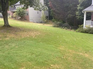 Bush Trimming by Joseph Garcia for Chris C. in Grayson, GA