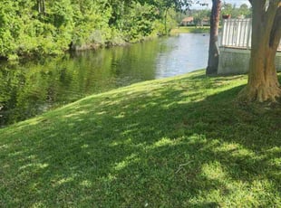 Joseph M.'s Yard Cutting service result