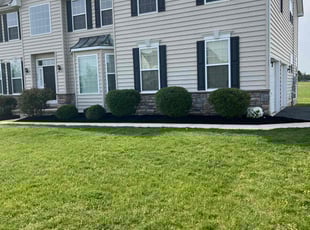 Mulching by Nicholas Bryant for Diallo B. in Townsend, DE