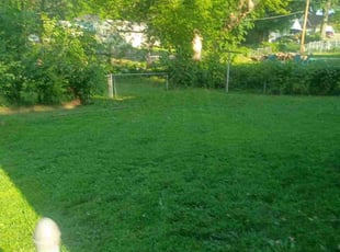 Cleanups by Cody Dixon for Thomas W. in Leavenworth, KS