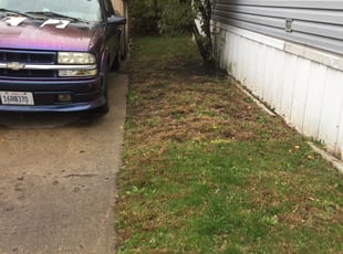 Leaf Removal by Phillip Kukla for Patti K. in Wheeling, IL