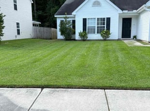 Paula S.'s Lawn Mowing service result