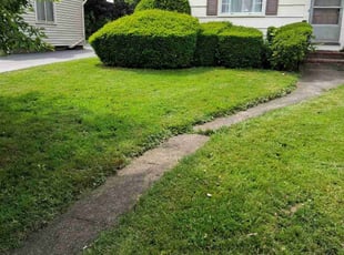 Leaf Removal by Joel Rosa for Yvonne B. in Rochester, NY