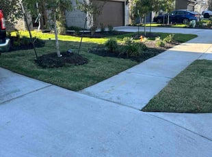 Eileen W.'s Yard Cutting service result