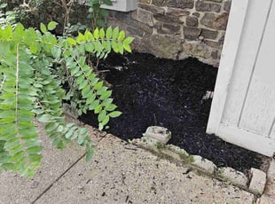Mulching by Joe Miller for Freda L. in Memphis, TN