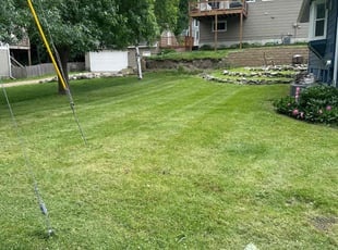 Danny N.'s Yard Cutting service result