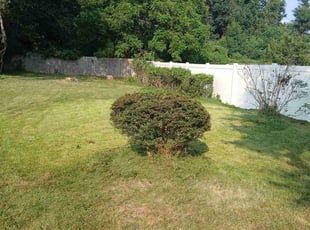 Bush Trimming by Tyrone Wilkins for RA S. in Fort Washington, MD