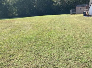 Ted M.'s Lawn Mowing service result