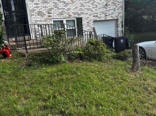 Bush Trimming by Carlos Portillo for Danielle N. in Fort Washington, MD