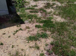 Cleanups by Daniel Serpa for JC P. in Haines City, FL