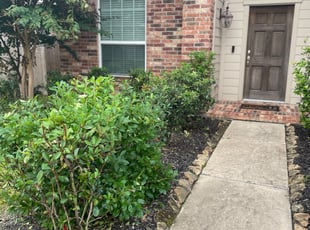 Bush Trimming by Thomas Foster for Kimberly G. in Katy, TX