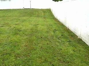 Linda W.'s Grass Cutting service result