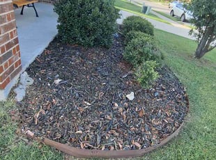 Weeding by Jesus Valencia for Brittany Y. in Little Elm, TX
